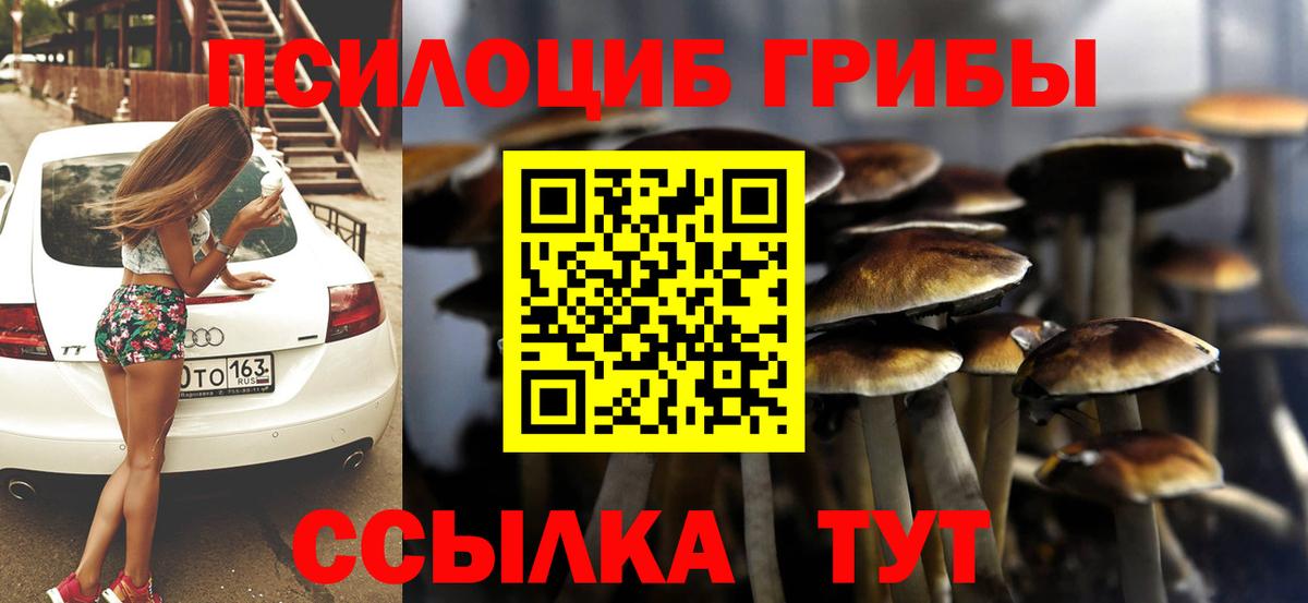 Псилоцибиновые грибы MAGIC MUSHROOMS Гусь-Хрустальный